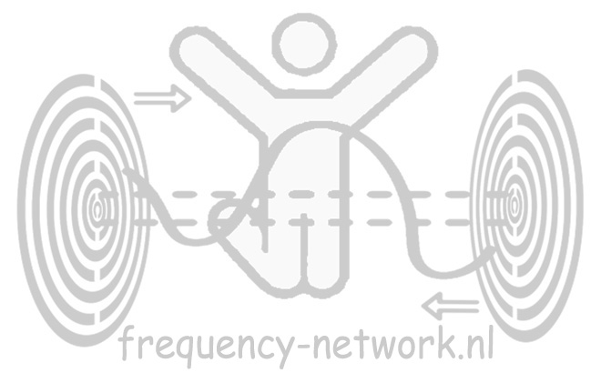 logo_frequency_network.nl